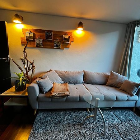 Terrassenwohnung Mit Toller Aussicht & Zentrumsnah Hornberg Exteriör bild