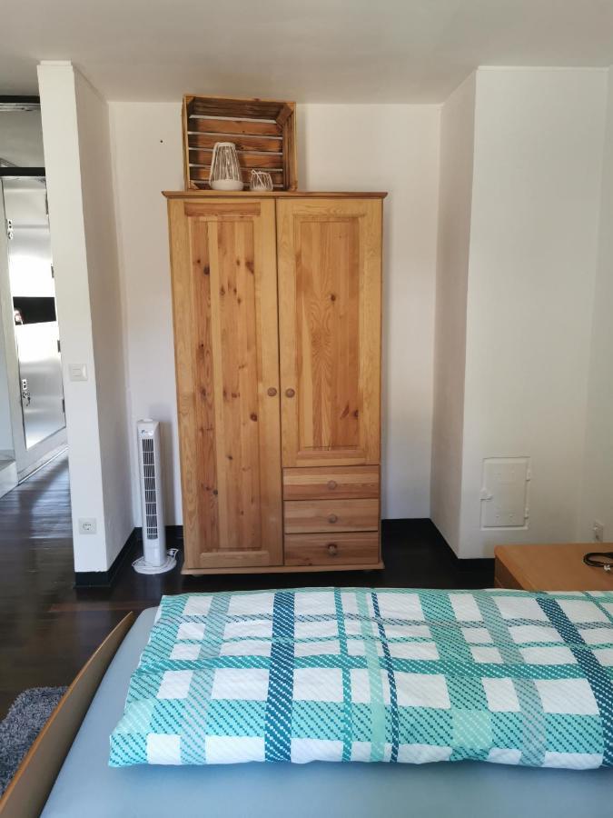 Terrassenwohnung Mit Toller Aussicht & Zentrumsnah Hornberg Exteriör bild