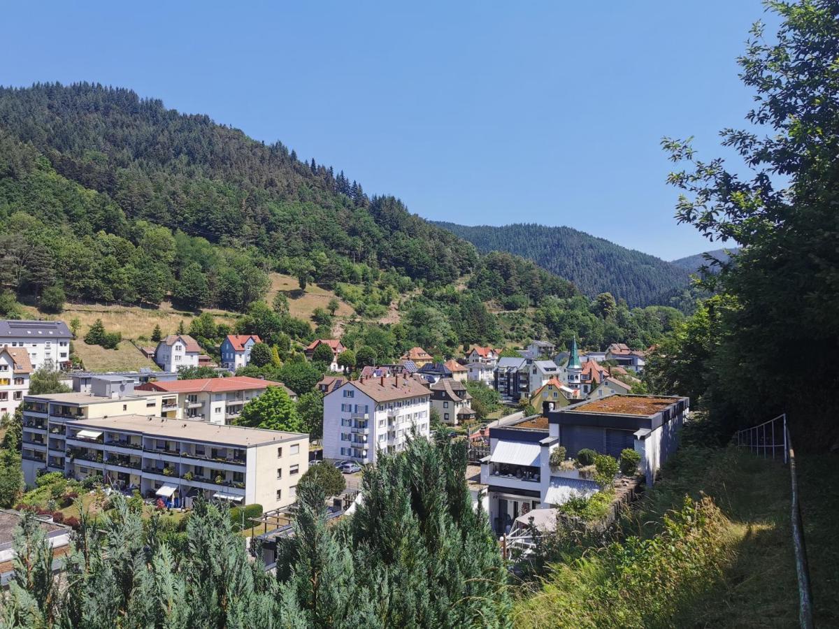 Terrassenwohnung Mit Toller Aussicht & Zentrumsnah Hornberg Exteriör bild