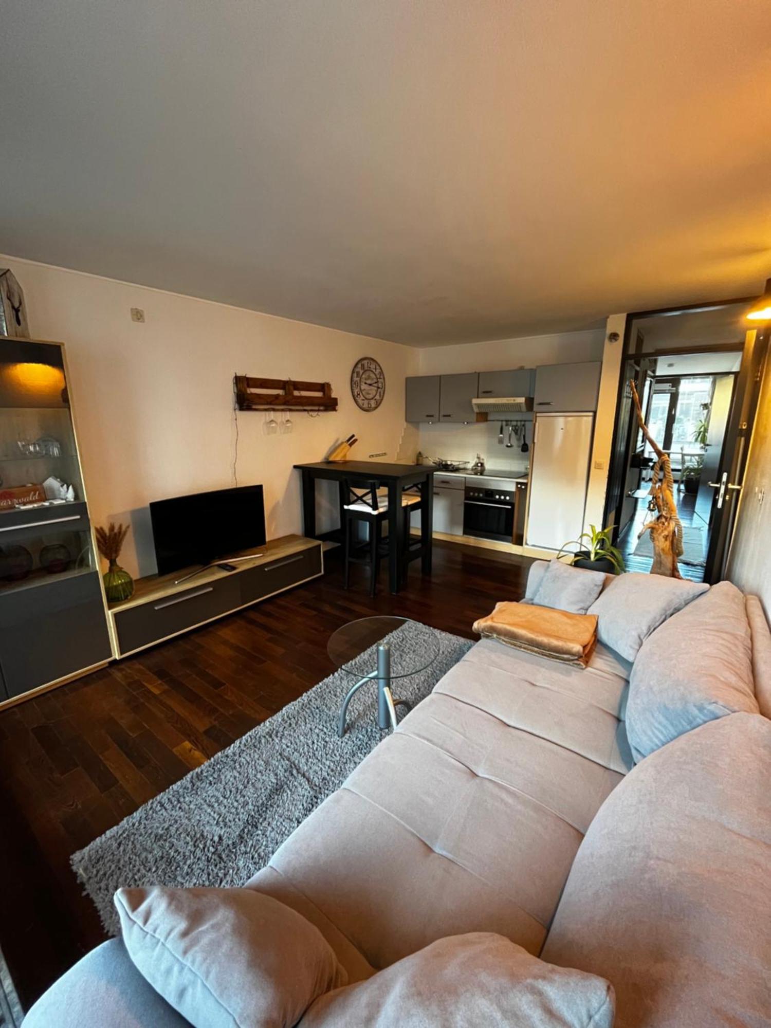 Terrassenwohnung Mit Toller Aussicht & Zentrumsnah Hornberg Exteriör bild